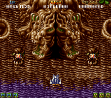 battle squadron terrain on amiga